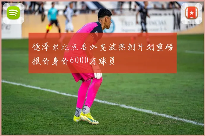 德泽尔比点名加克波热刺计划重磅报价身价6000万球员