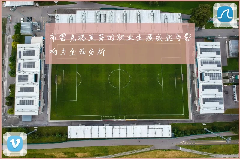 布雷克格里芬的职业生涯成就与影响力全面分析
