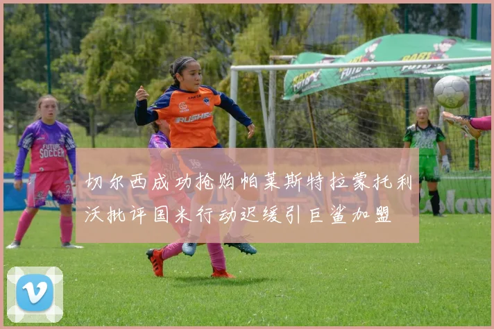 切尔西成功抢购帕莱斯特拉蒙托利沃批评国米行动迟缓引巨鲨加盟